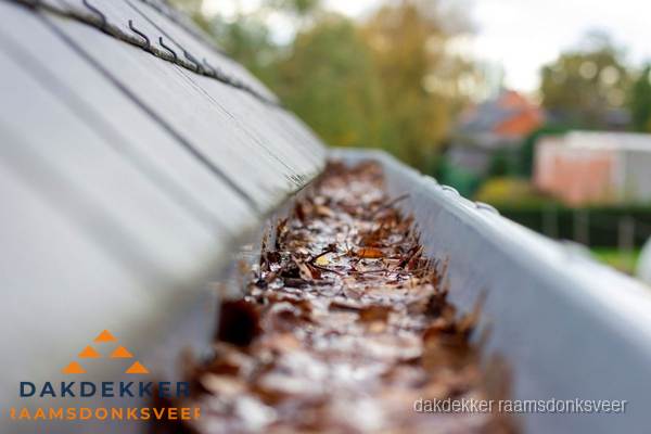 Verstopte dakgoot met bladeren schoonmaken in Raamsdonksveer