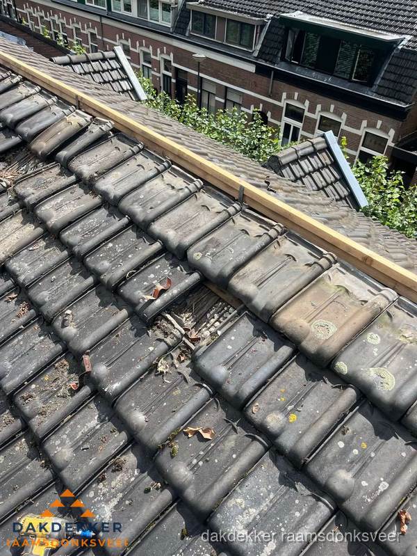 Dakonderhoud aan schuin pannendak met nokvernieuwing in Raamsdonksveer Dakonderhoud aan schuin pannendak met nokvernieuwing in Raamsdonksveer