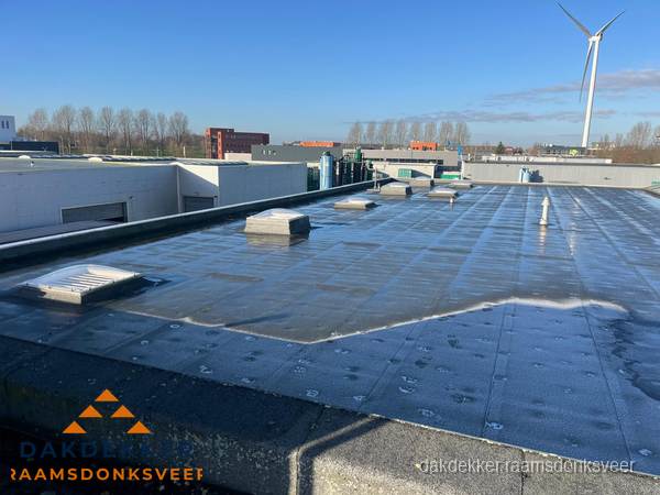 Plat dak bedrijfspand met bitumen dakbedekking en lichtkoepels in Raamsdonksveer Plat dak bedrijfspand met bitumen dakbedekking en lichtkoepels in Raamsdonksveer