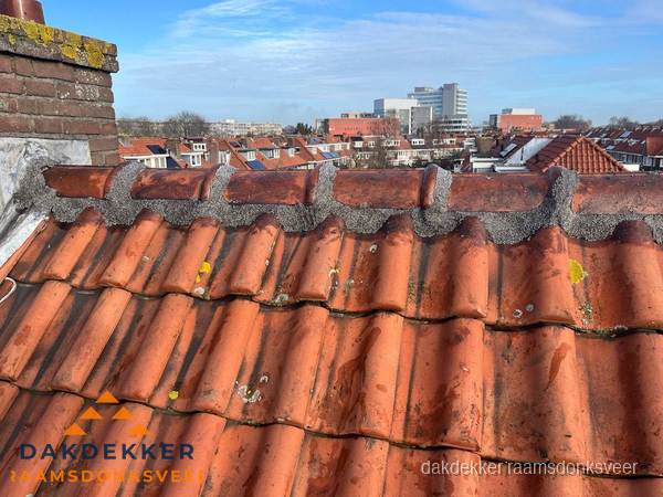 Pannendak met nokvorst en schoorsteen, dakrenovatie in Raamsdonksveer Pannendak met nokvorst en schoorsteen, dakrenovatie in Raamsdonksveer