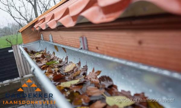 Dakgoot vol bladeren die gereinigd moet worden in Raamsdonksveer Dakgoot vol bladeren die gereinigd moet worden in Raamsdonksveer