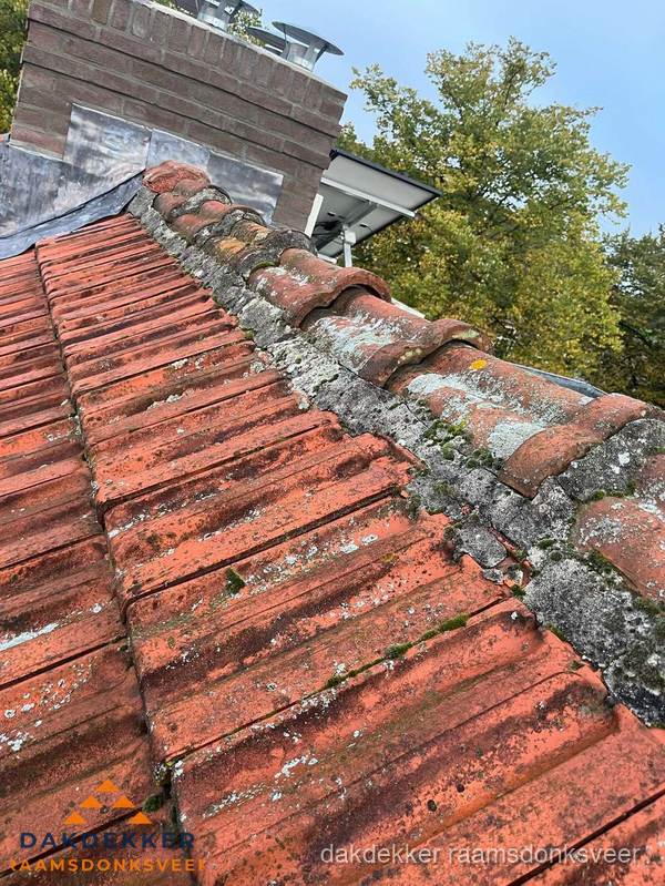 Verweerd hellend dak met mosgroei op nokvorst in Raamsdonksveer Verweerd hellend dak met mosgroei op nokvorst in Raamsdonksveer