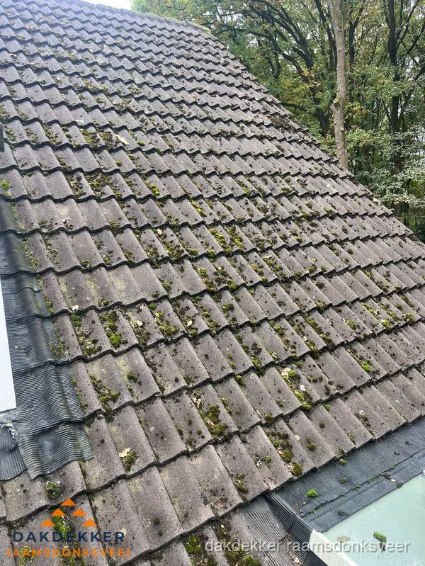 Verweerd pannendak met mosgroei dat renovatie nodig heeft in Raamsdonksveer Verweerd pannendak met mosgroei dat renovatie nodig heeft in Raamsdonksveer